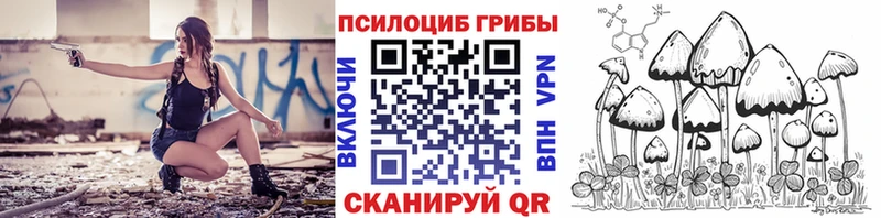 Псилоцибиновые грибы ЛСД  Купить закладки  Кола 